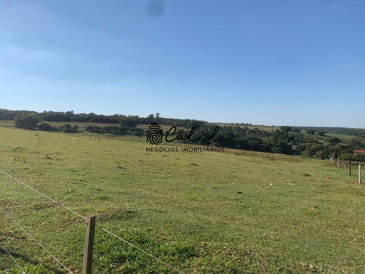 Fazenda, 235 hectares - Foto 7