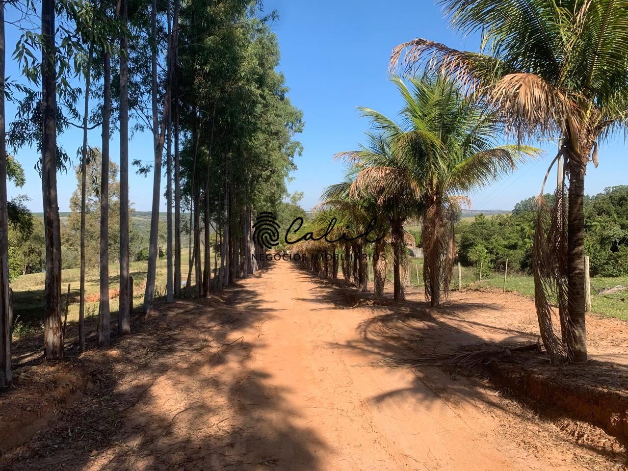 Fazenda, 235 hectares - Foto 1