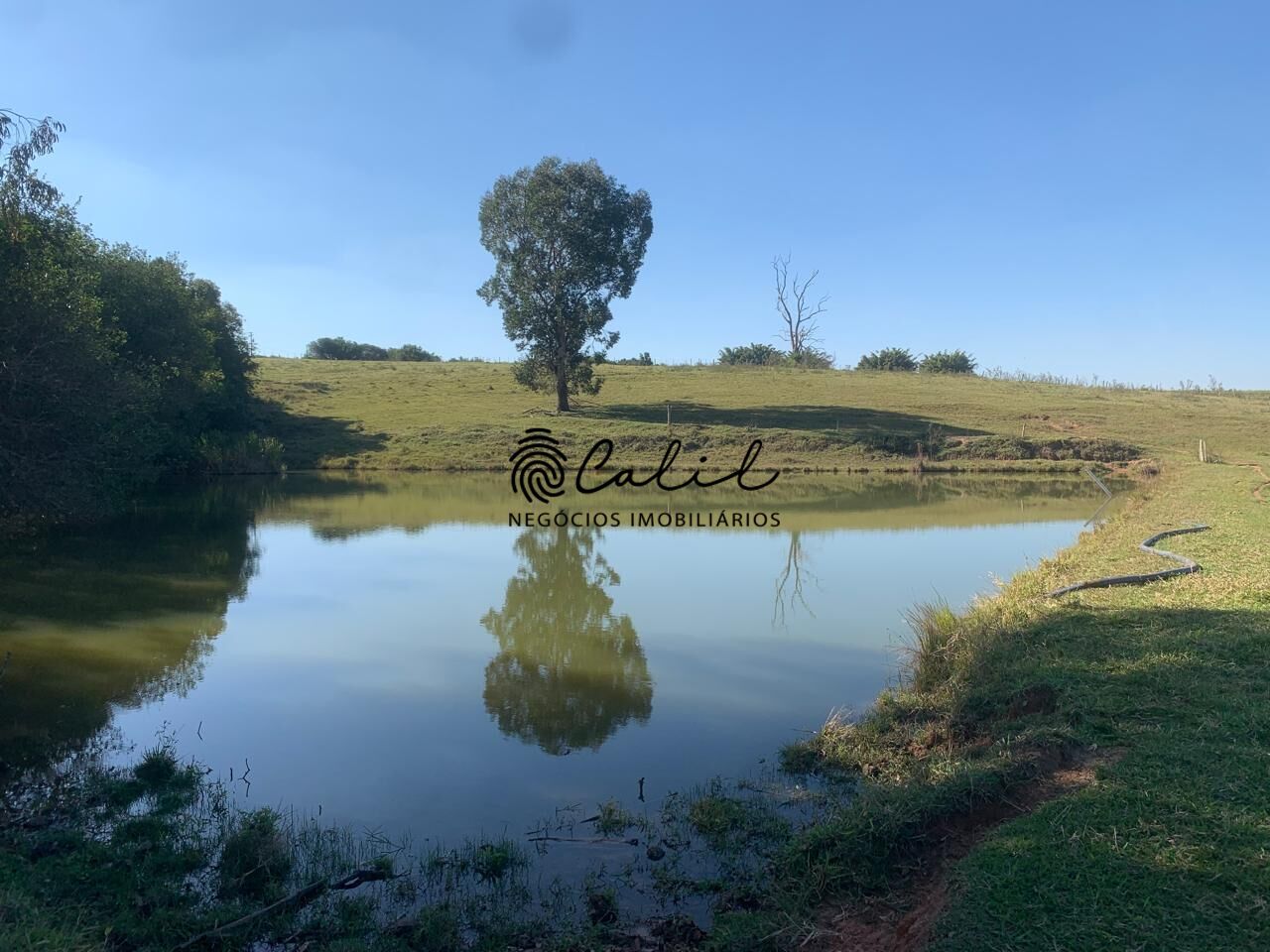 Fazenda, 235 hectares - Foto 5