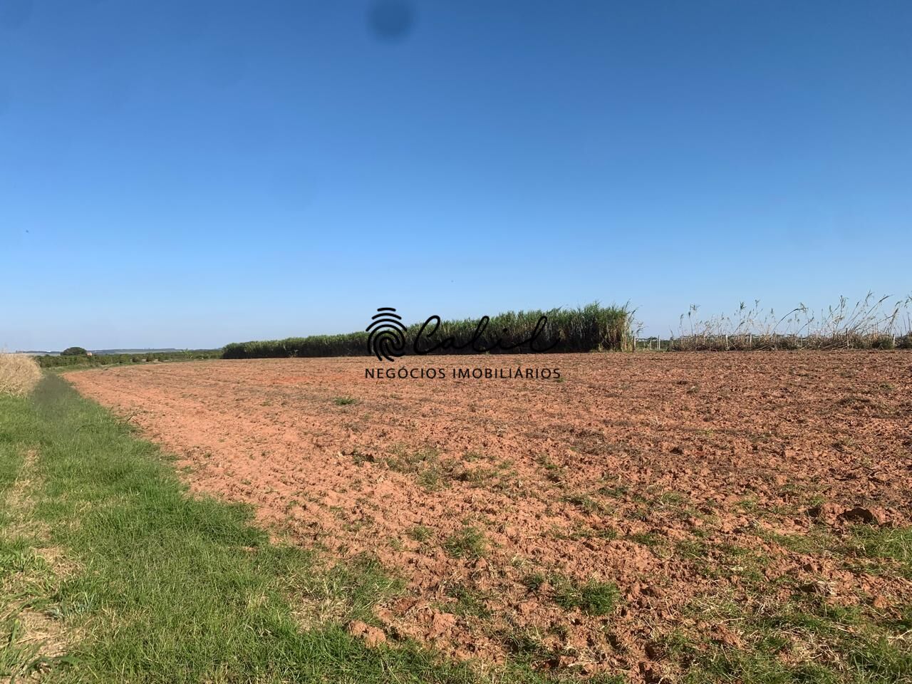 Fazenda, 235 hectares - Foto 10