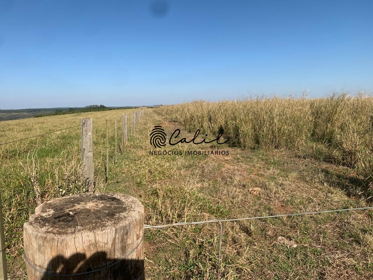 Fazenda, 235 hectares - Foto 13