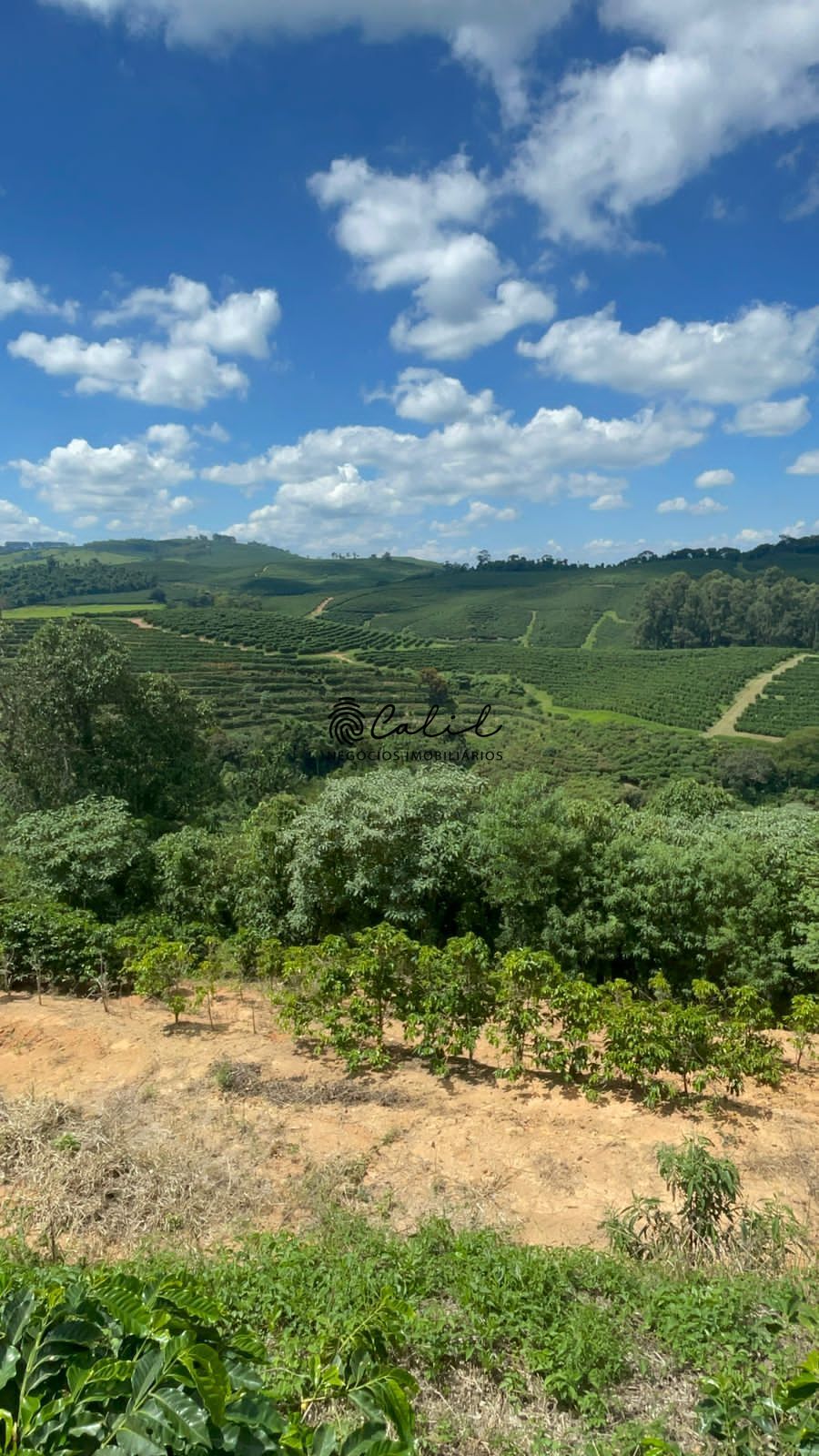 Fazenda à venda com 1 quarto, 5953200m² - Foto 1