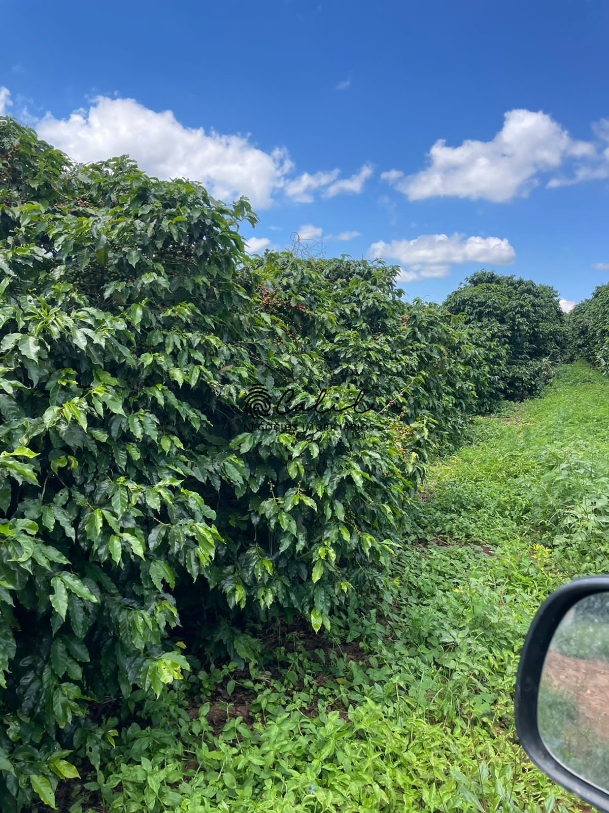 Fazenda à venda com 1 quarto, 5953200m² - Foto 17