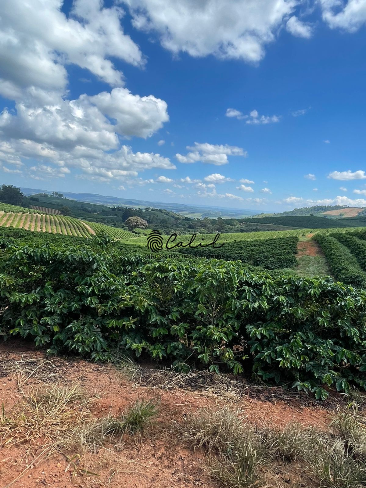 Fazenda à venda com 1 quarto, 5953200m² - Foto 26