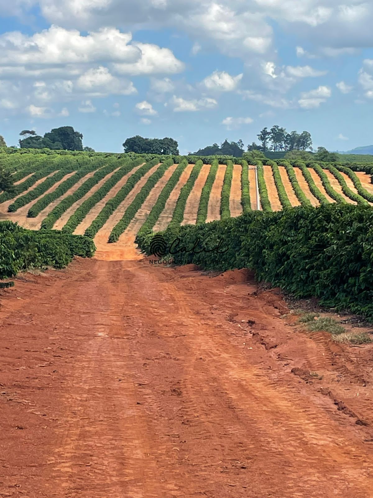 Fazenda à venda com 1 quarto, 5953200m² - Foto 12