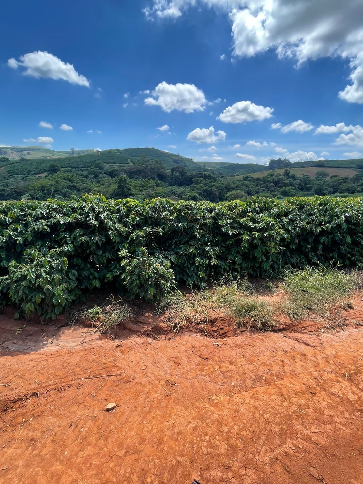 Fazenda à venda com 1 quarto, 5953200m² - Foto 28
