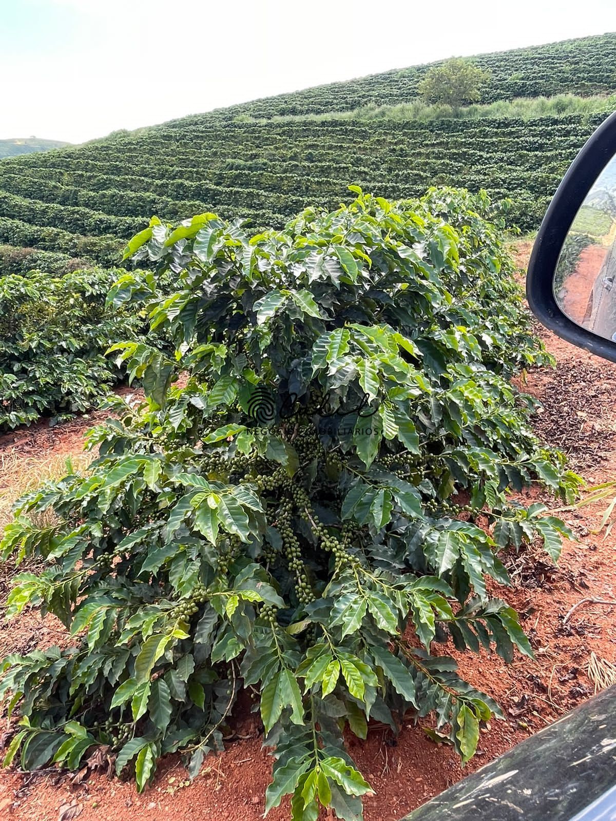 Fazenda à venda com 1 quarto, 5953200m² - Foto 30