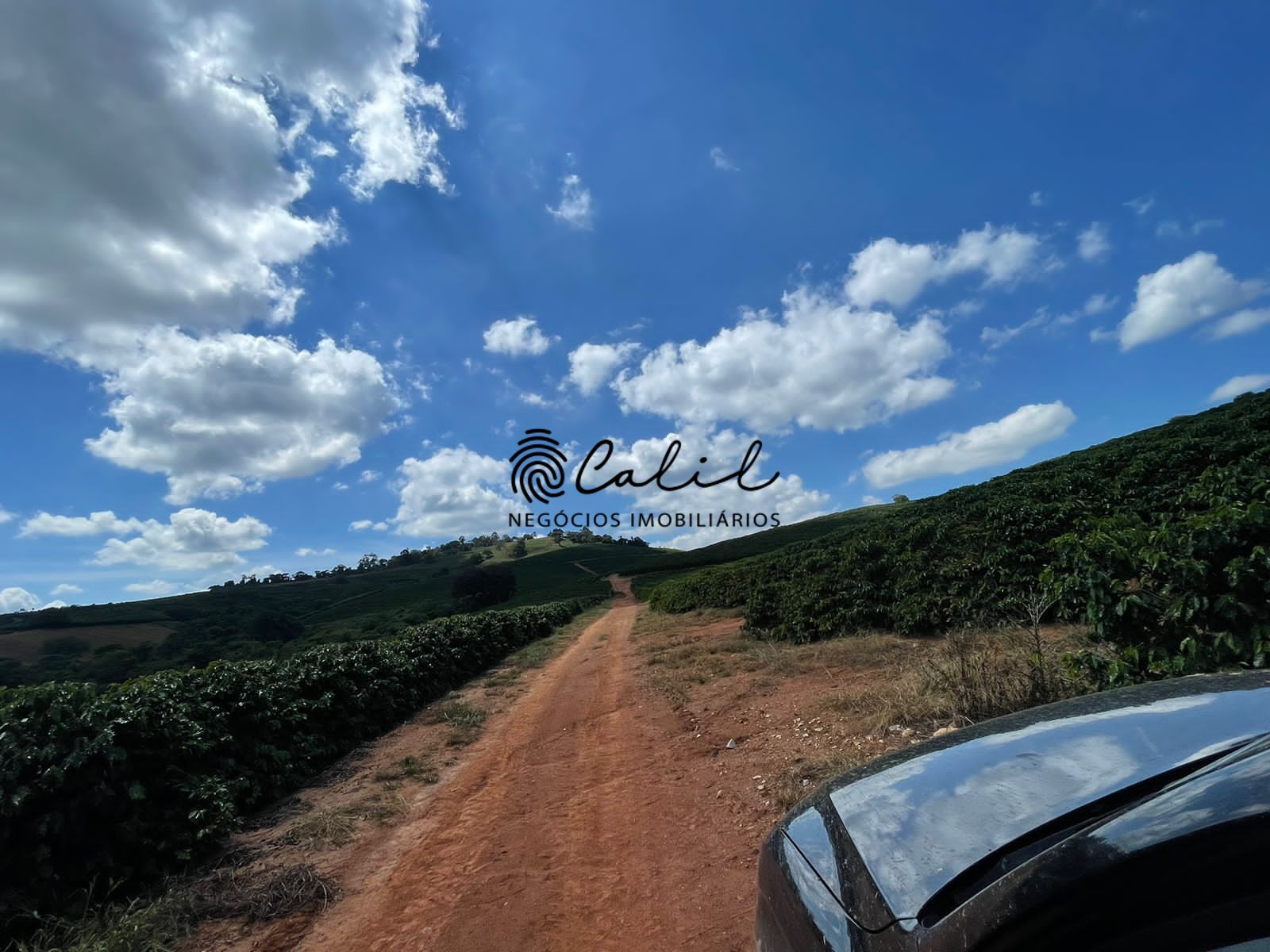 Fazenda à venda com 1 quarto, 5953200m² - Foto 29