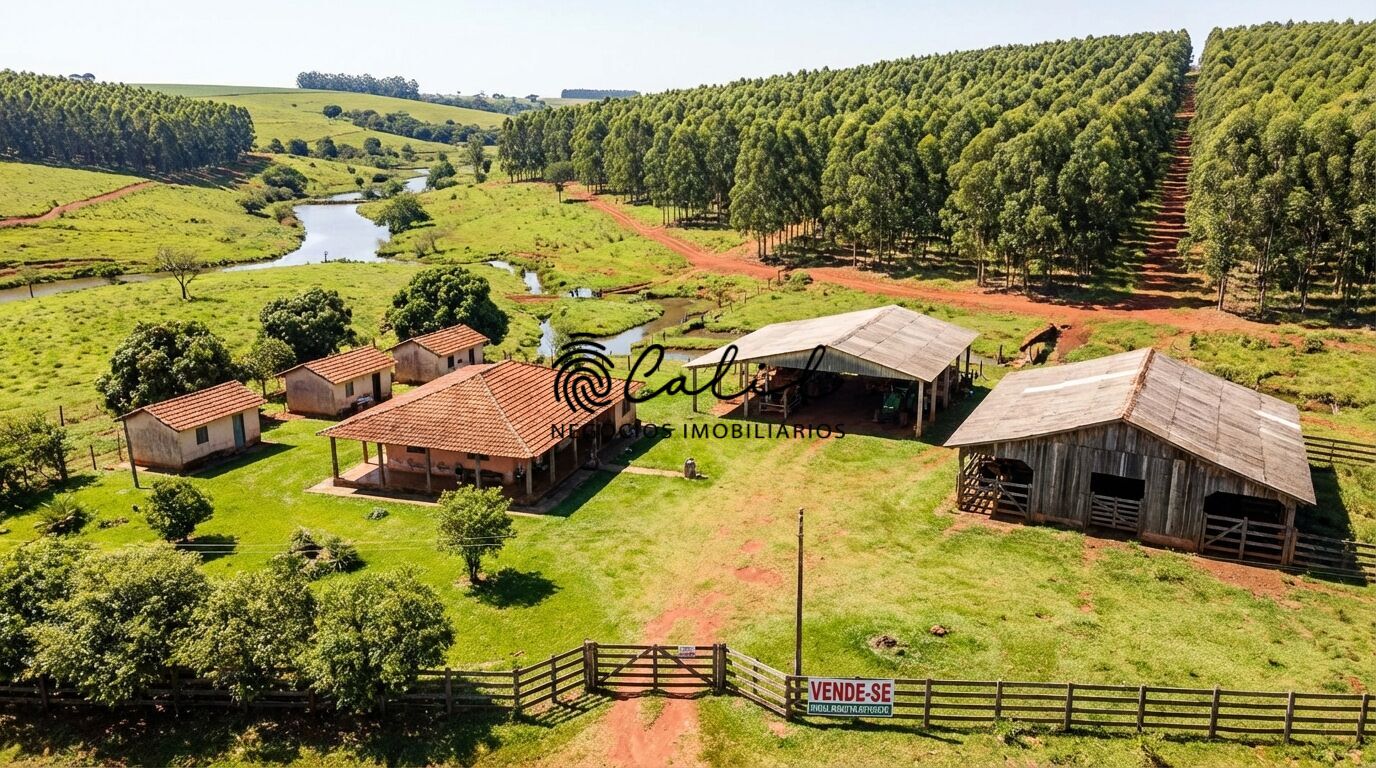 Fazenda, 239 hectares - Foto 2