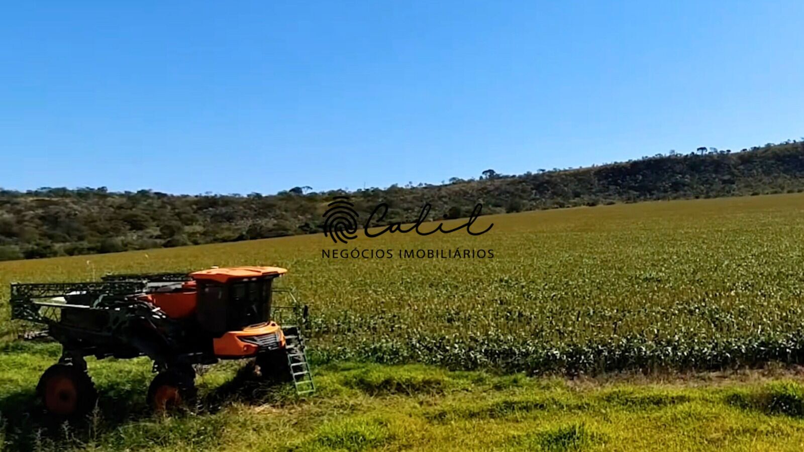 Fazenda à venda com 6 quartos, 2370000m² - Foto 24