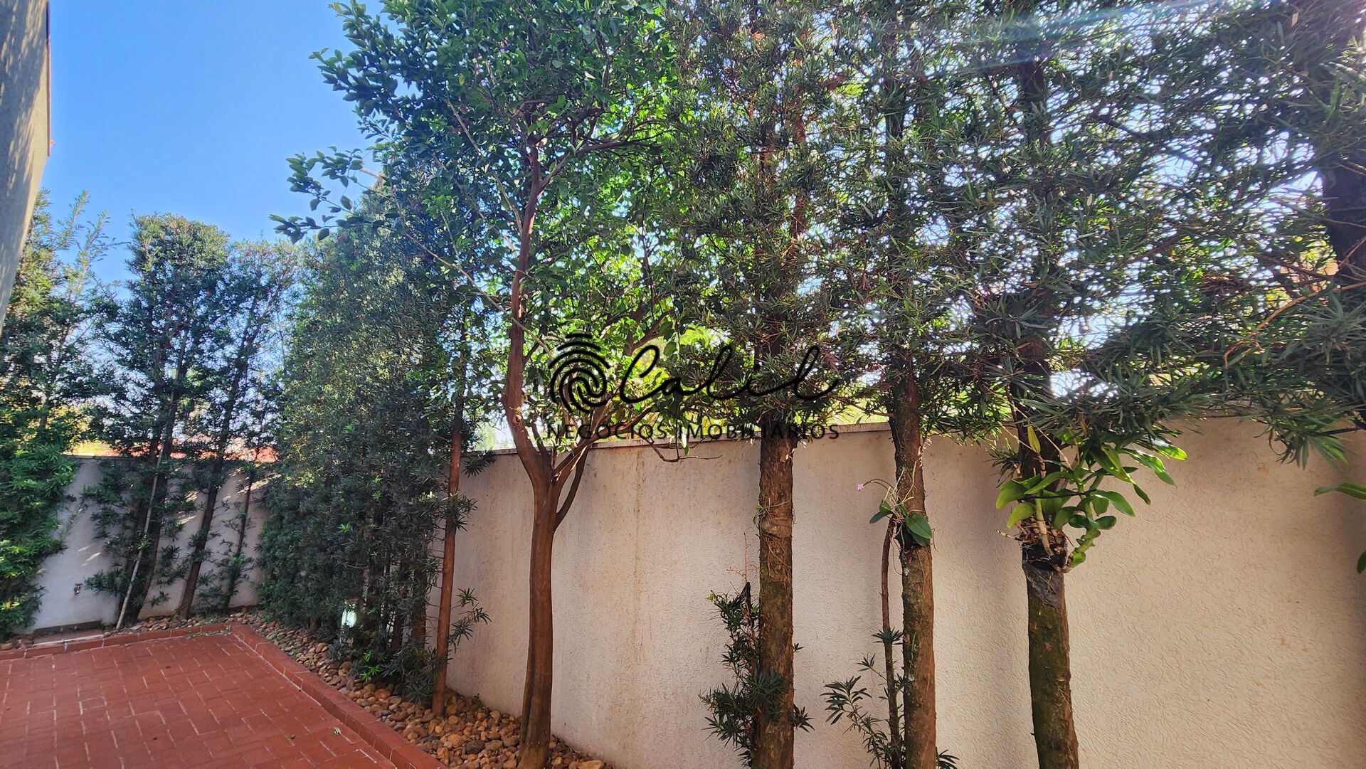 Casa, 4 quartos, 392 m² - Foto 23