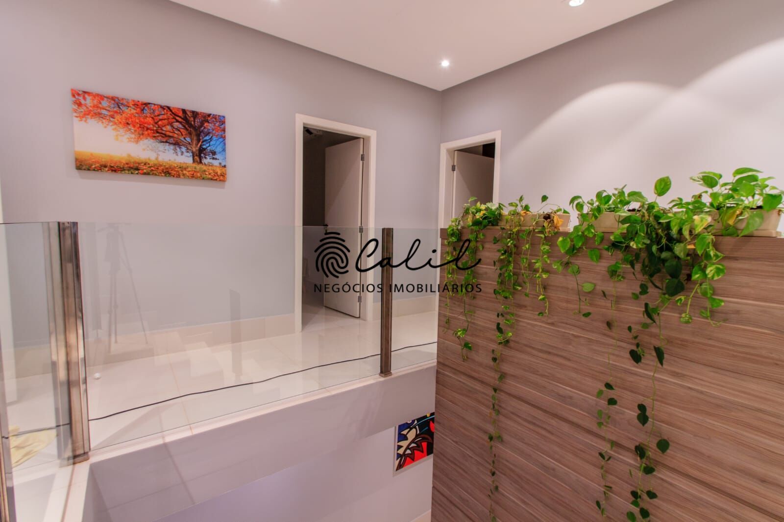 Casa, 4 quartos, 360 m² - Foto 24