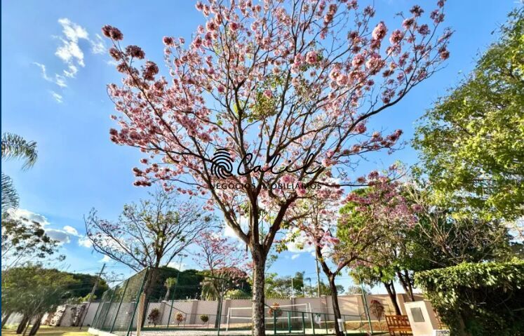 Terreno, 533 m² - Foto 4