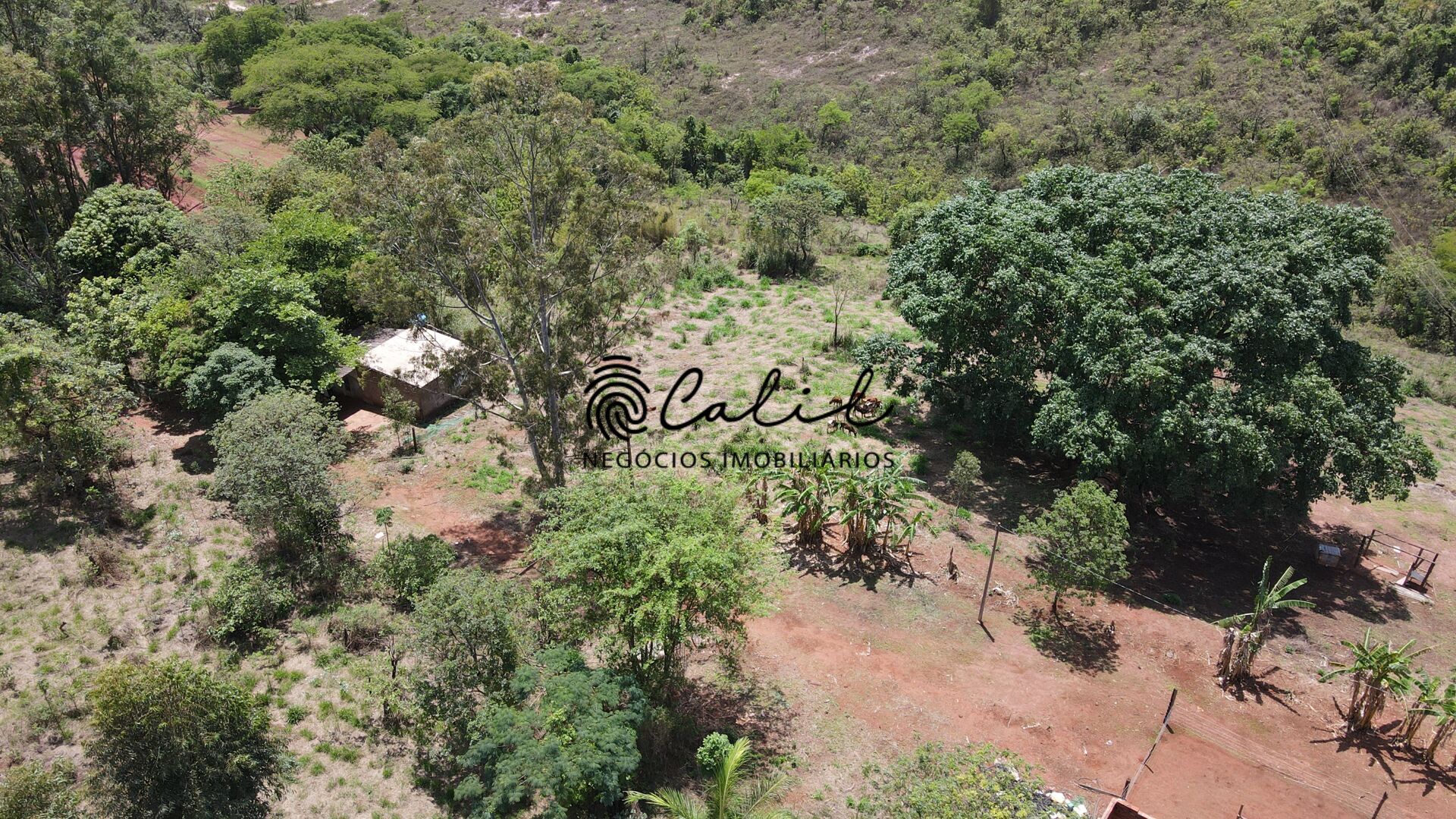 Fazenda à venda com 2 quartos, 1306800m² - Foto 14