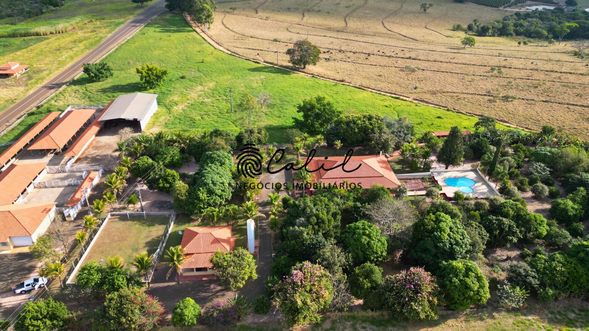 Fazenda à venda com 3 quartos, 129000m² - Foto 3