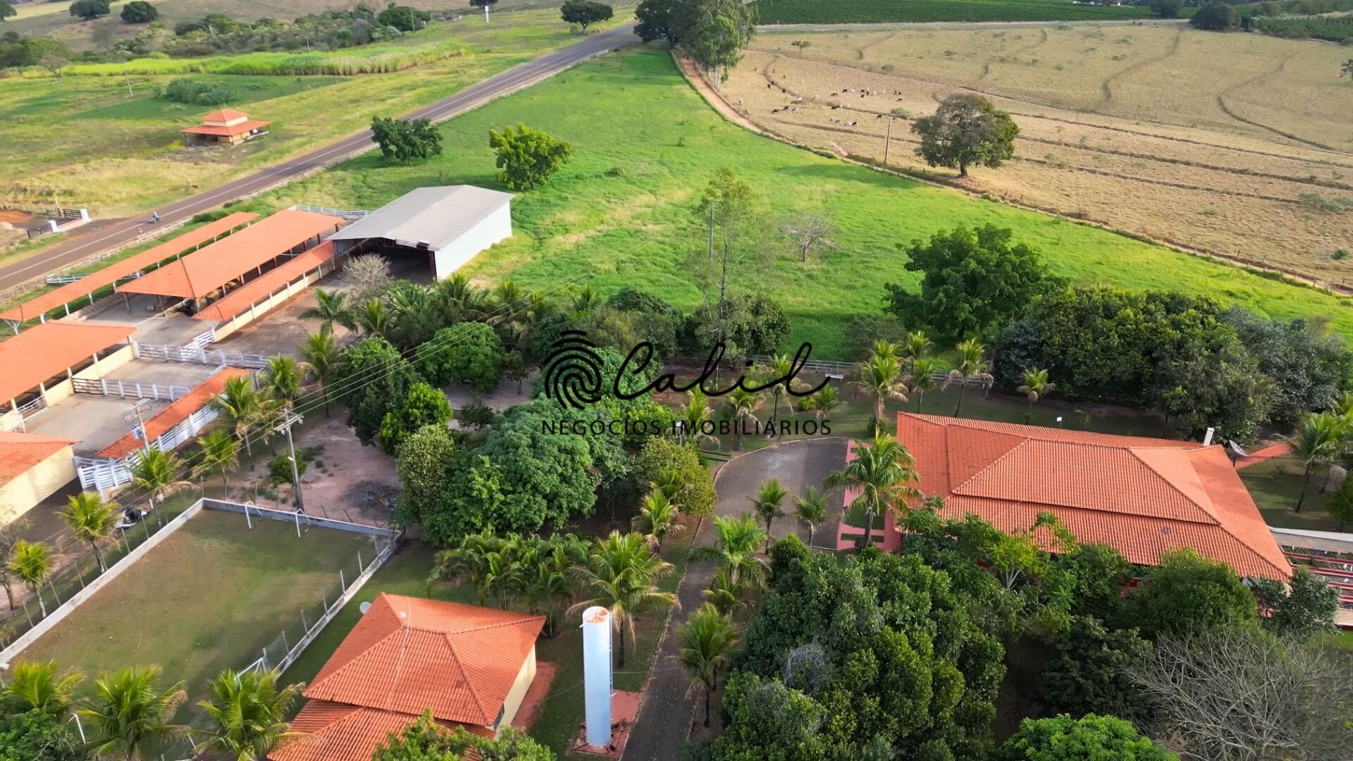 Fazenda à venda com 3 quartos, 129000m² - Foto 16