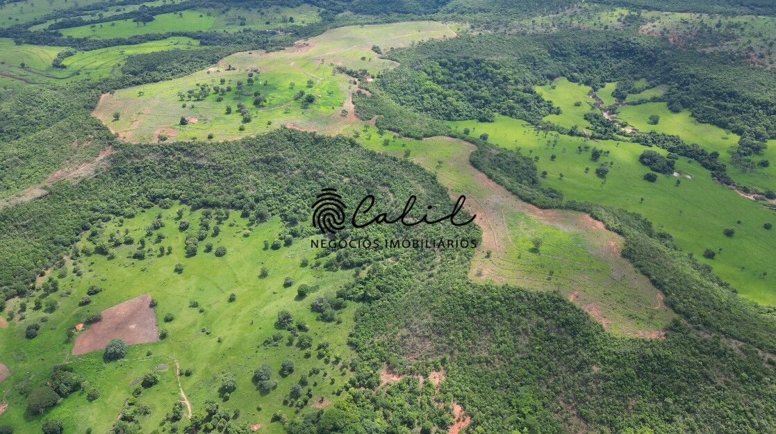 Fazenda, 92 hectares - Foto 9