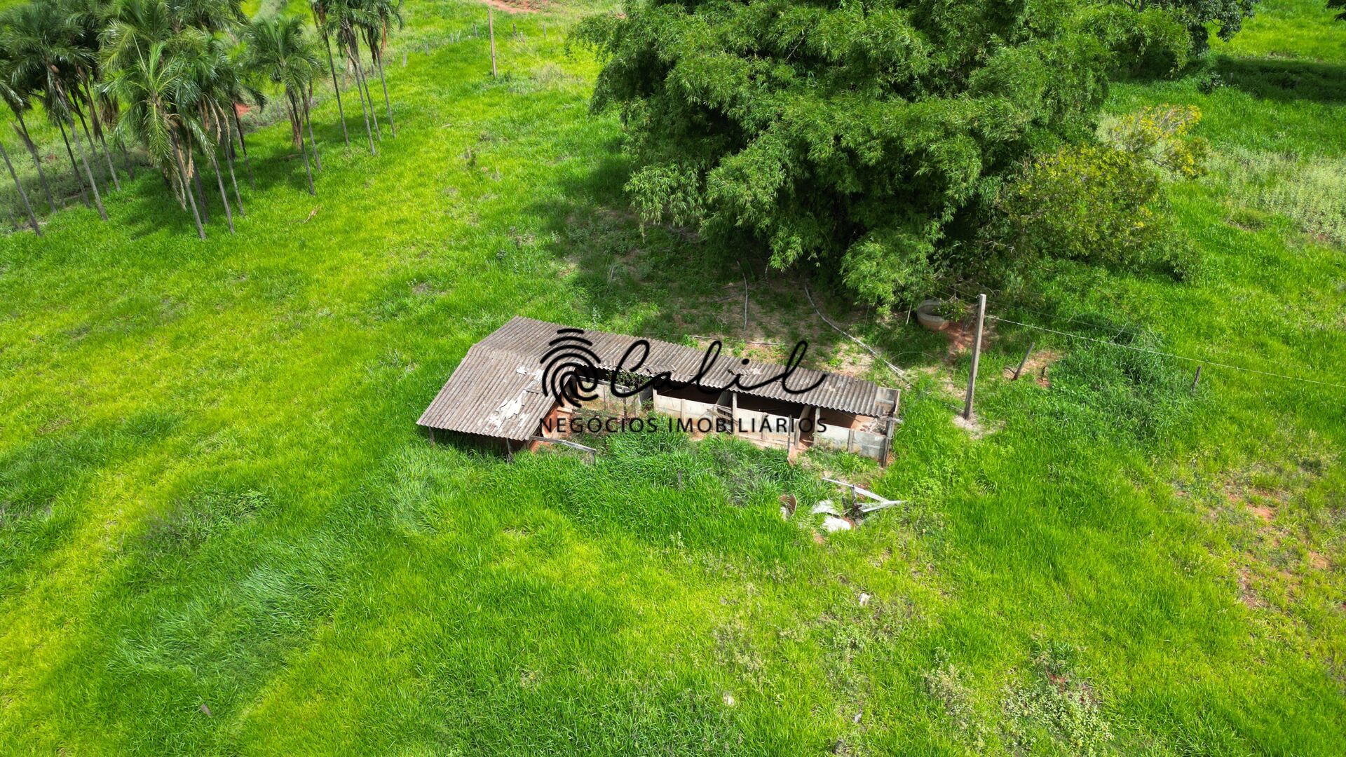 Fazenda, 92 hectares - Foto 19