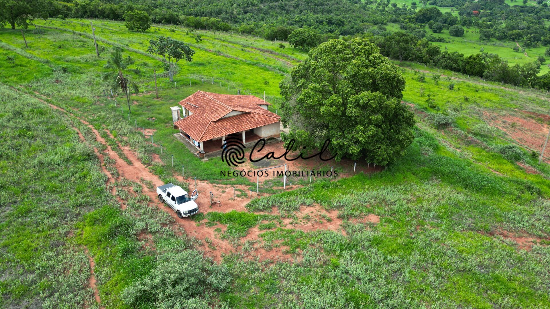 Fazenda, 92 hectares - Foto 11