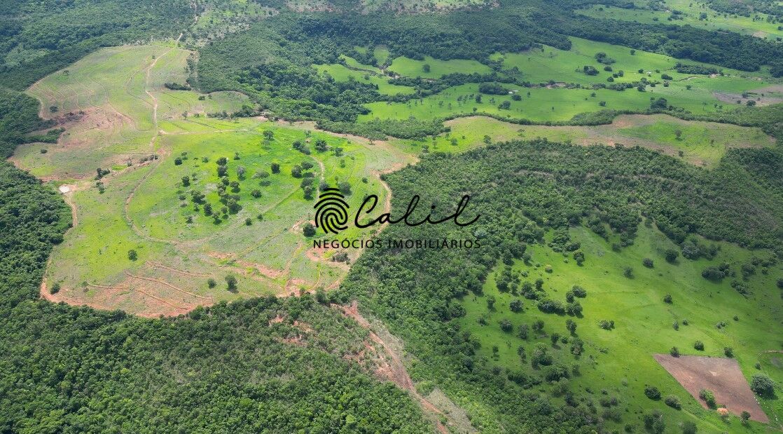 Fazenda, 92 hectares - Foto 8