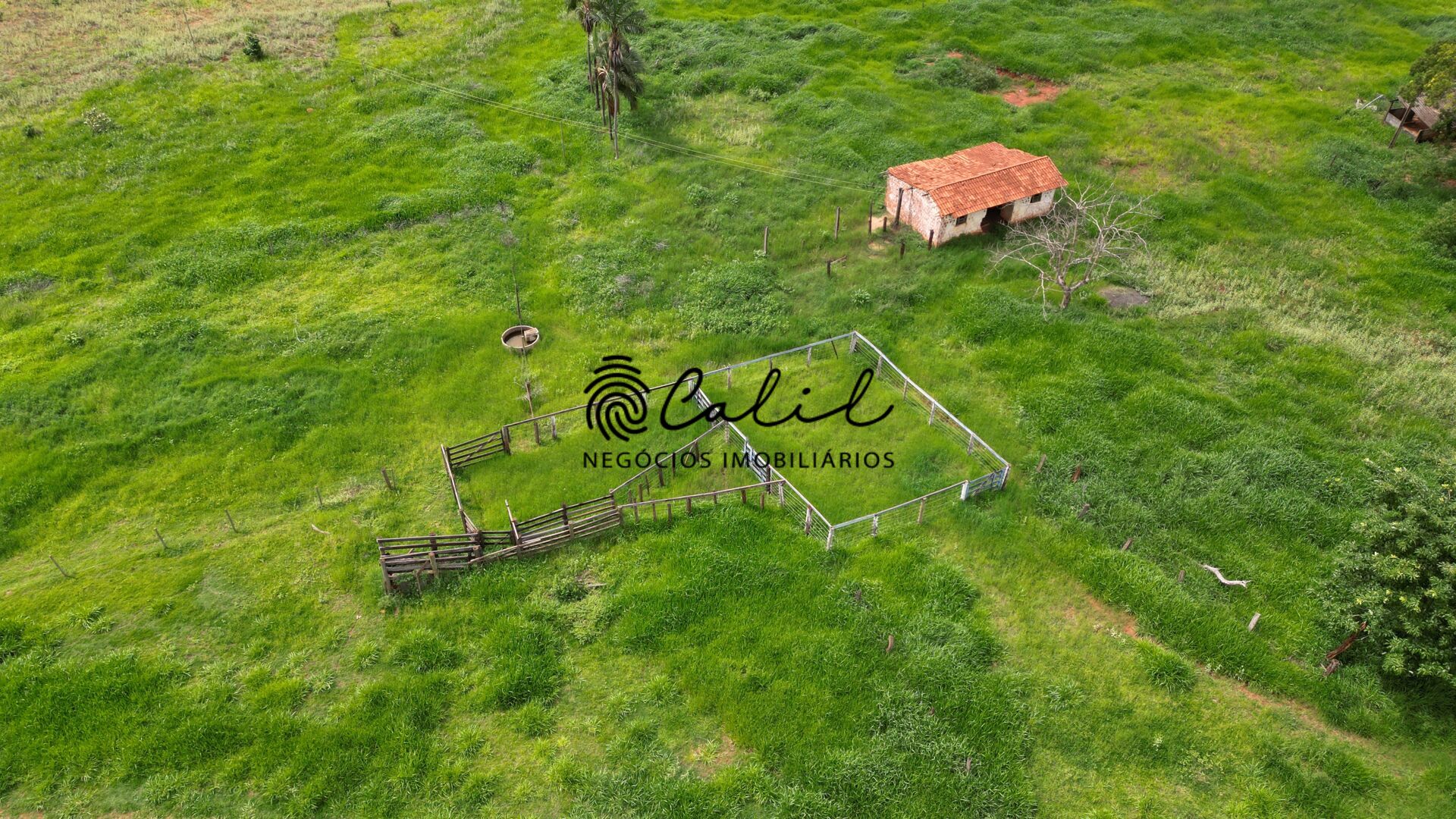 Fazenda, 92 hectares - Foto 15