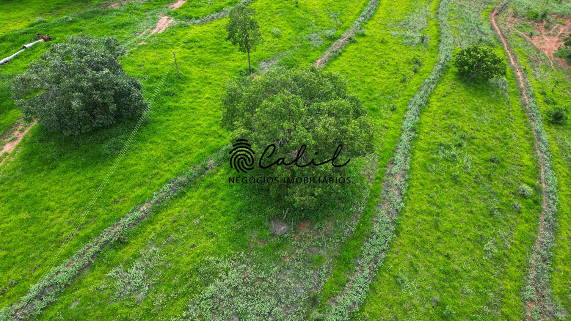 Fazenda, 92 hectares - Foto 23