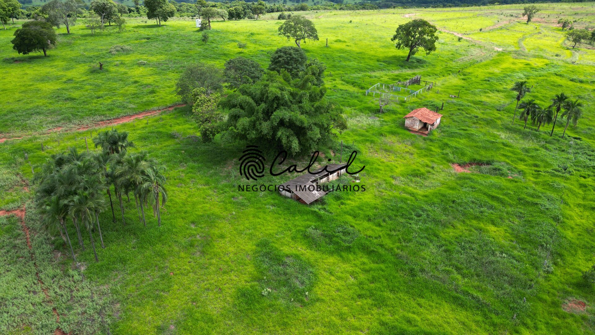 Fazenda, 92 hectares - Foto 24