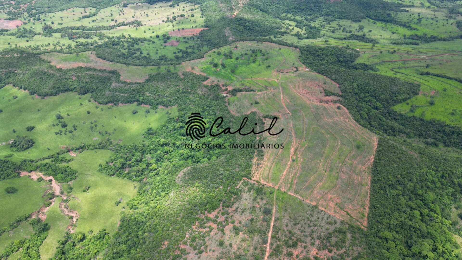 Fazenda, 92 hectares - Foto 3