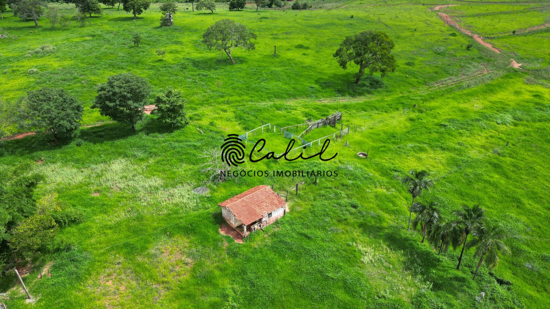 Fazenda, 92 hectares - Foto 16