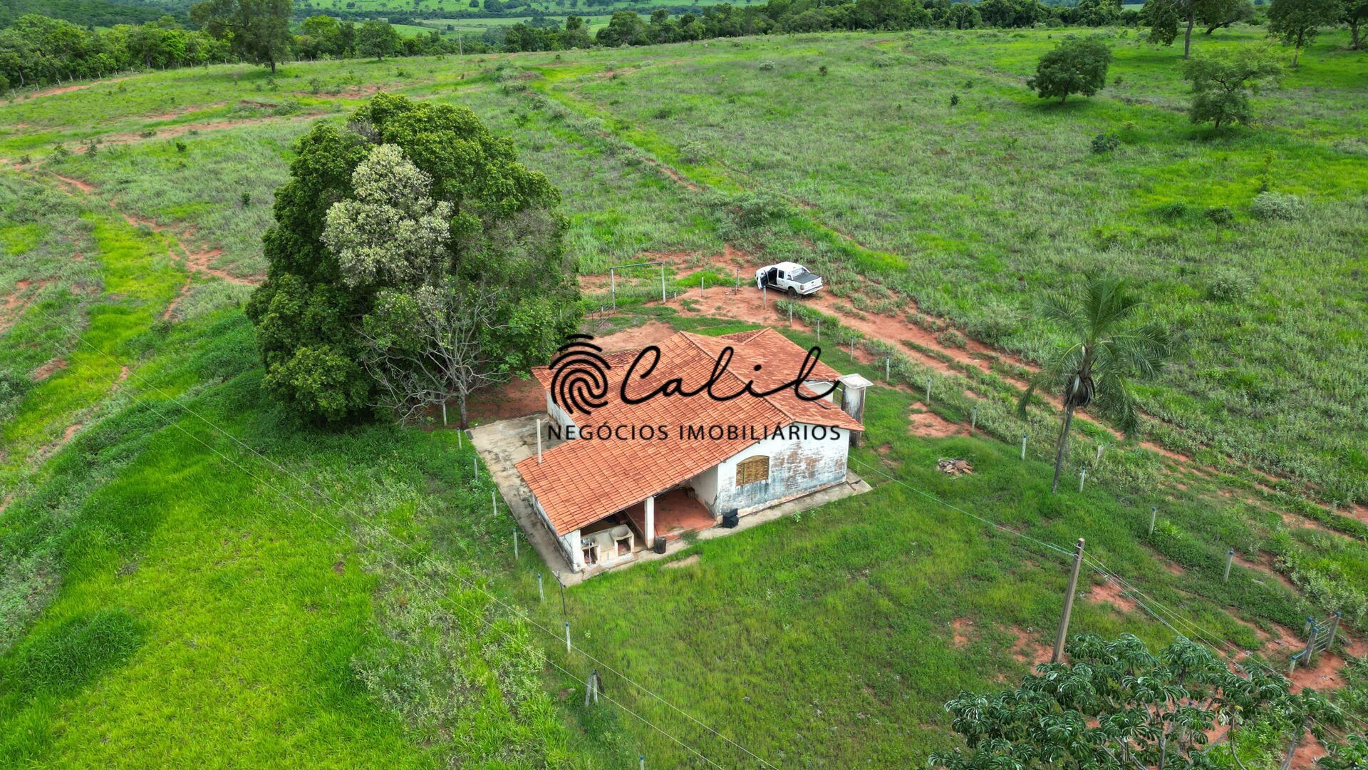Fazenda, 92 hectares - Foto 12