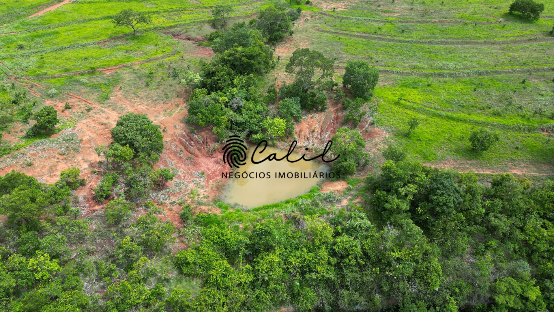 Fazenda, 92 hectares - Foto 20