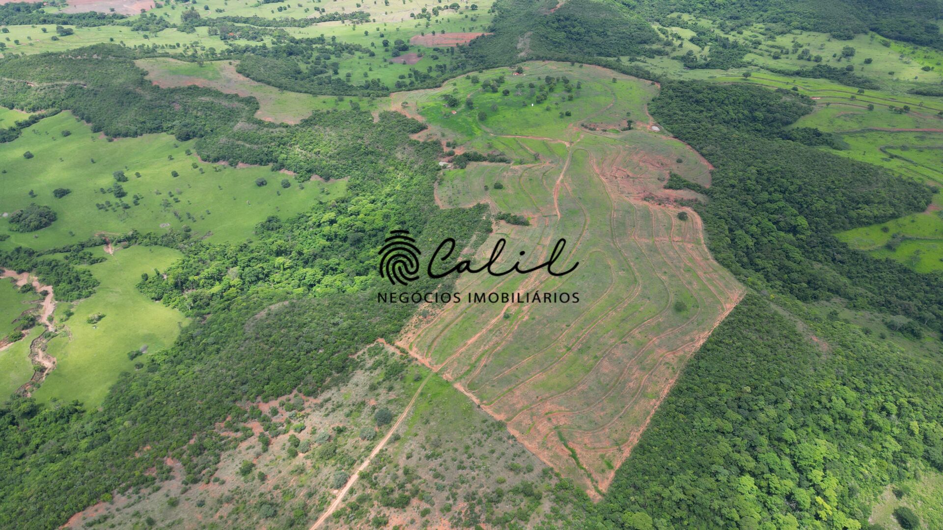 Fazenda, 92 hectares - Foto 4