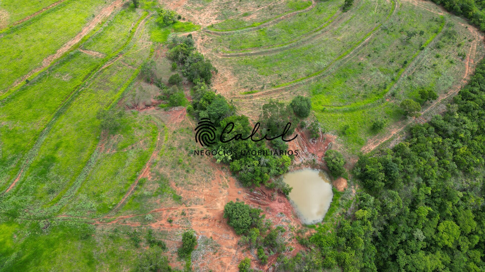 Fazenda, 92 hectares - Foto 21