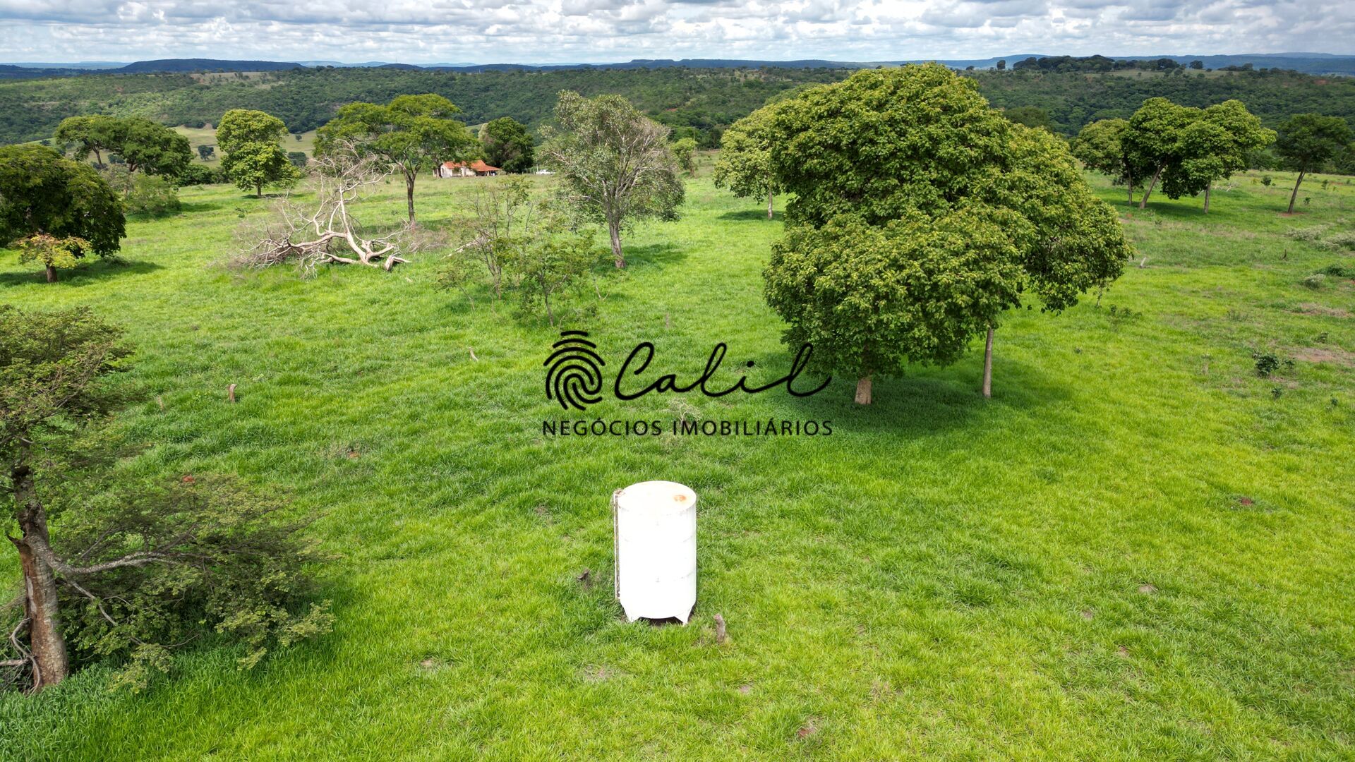 Fazenda, 92 hectares - Foto 14