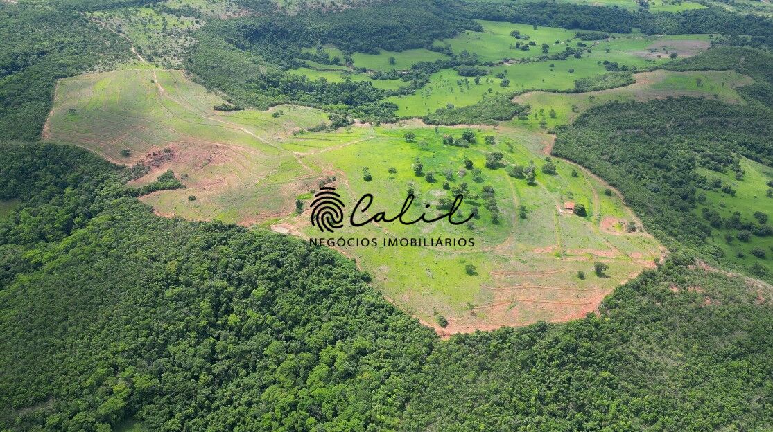 Fazenda, 92 hectares - Foto 6