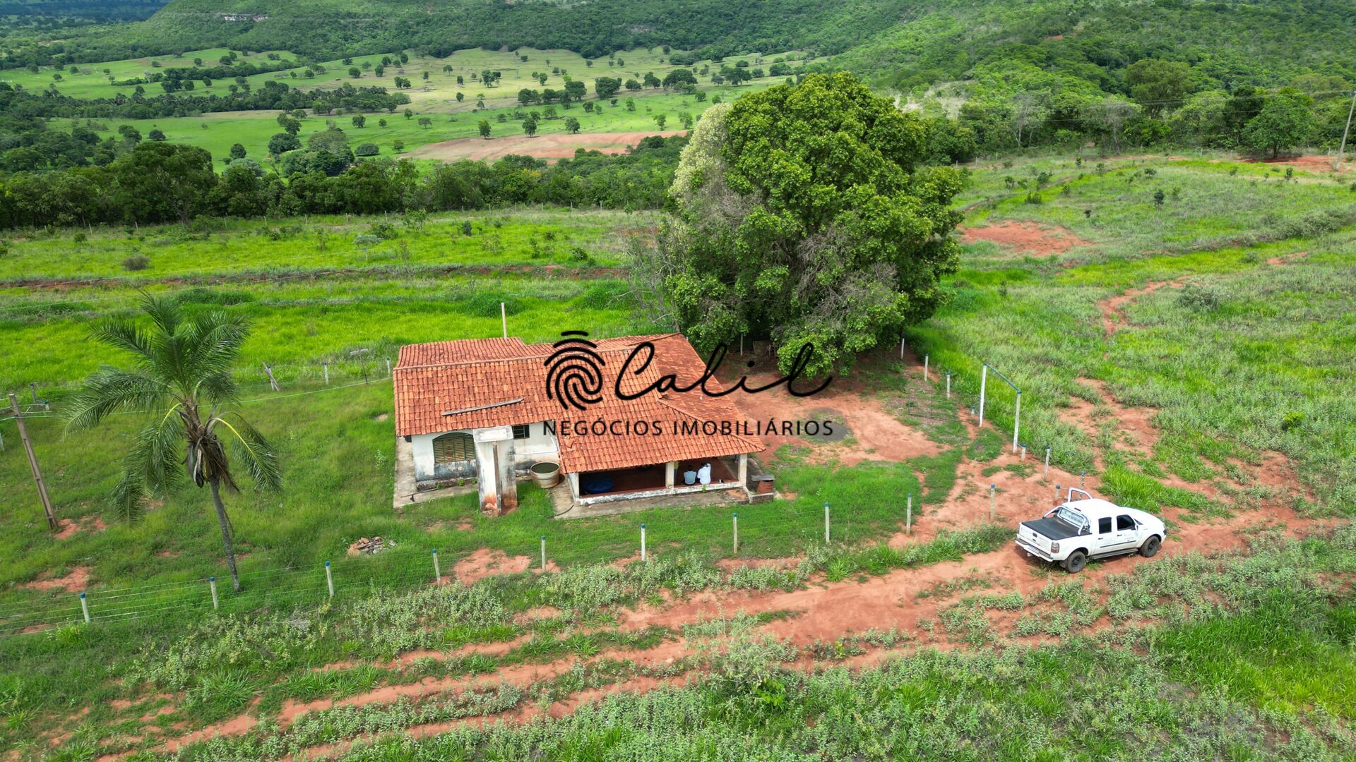 Fazenda, 92 hectares - Foto 10