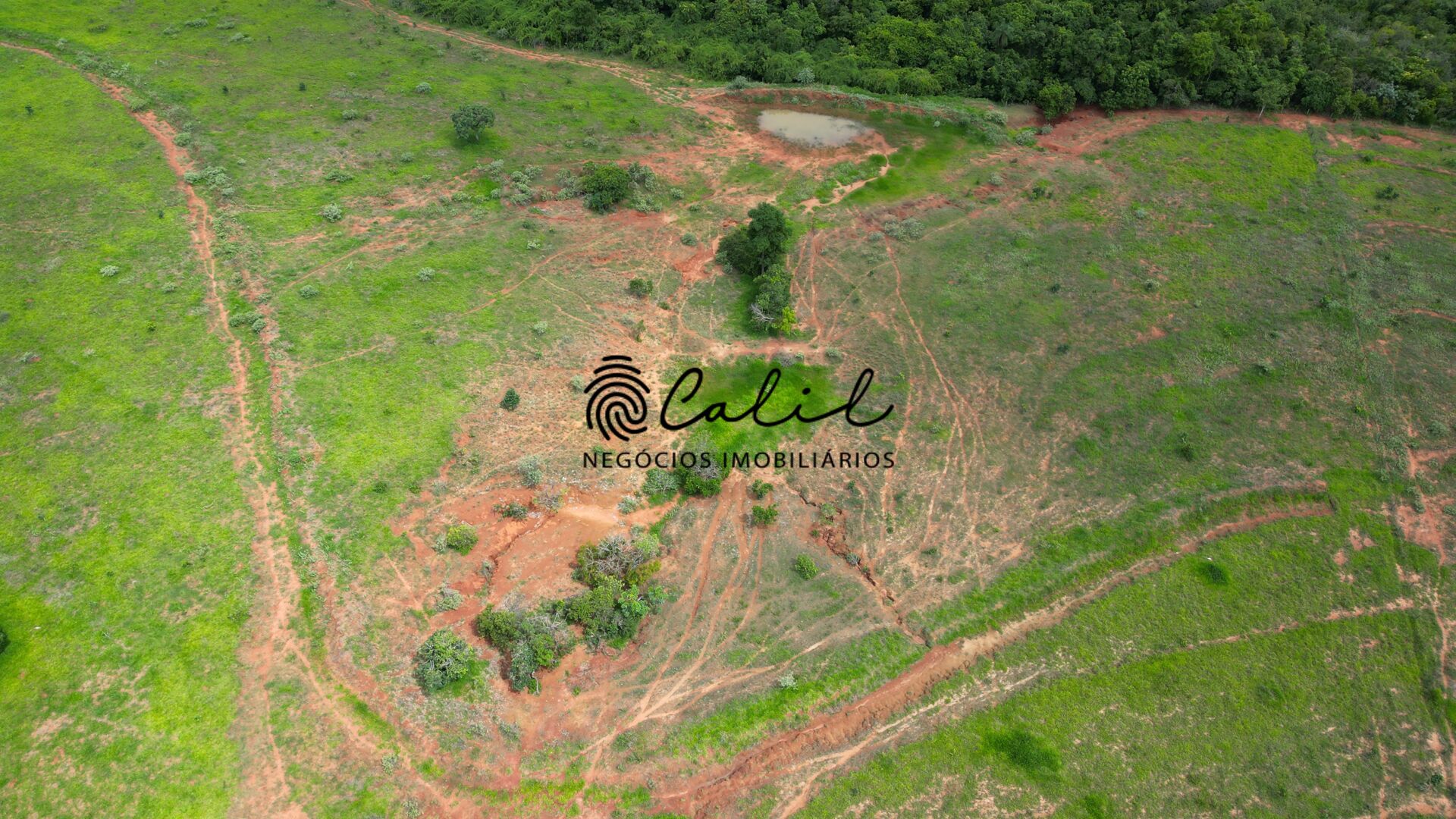 Fazenda, 92 hectares - Foto 22