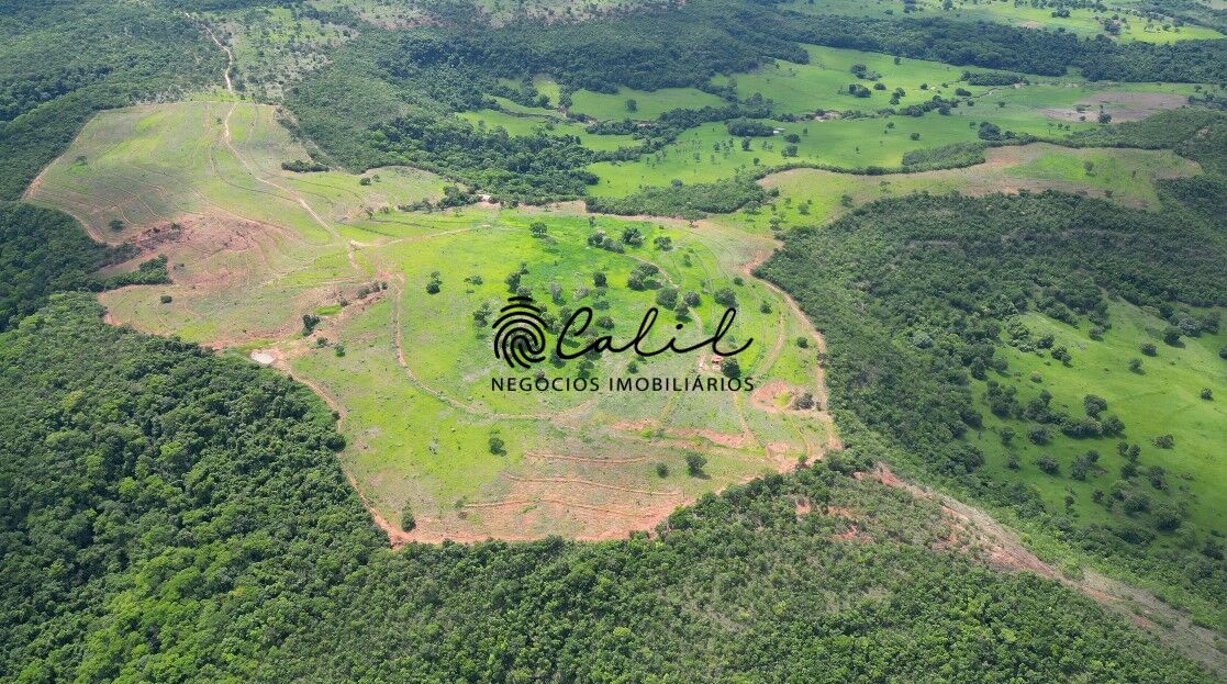 Fazenda, 92 hectares - Foto 7