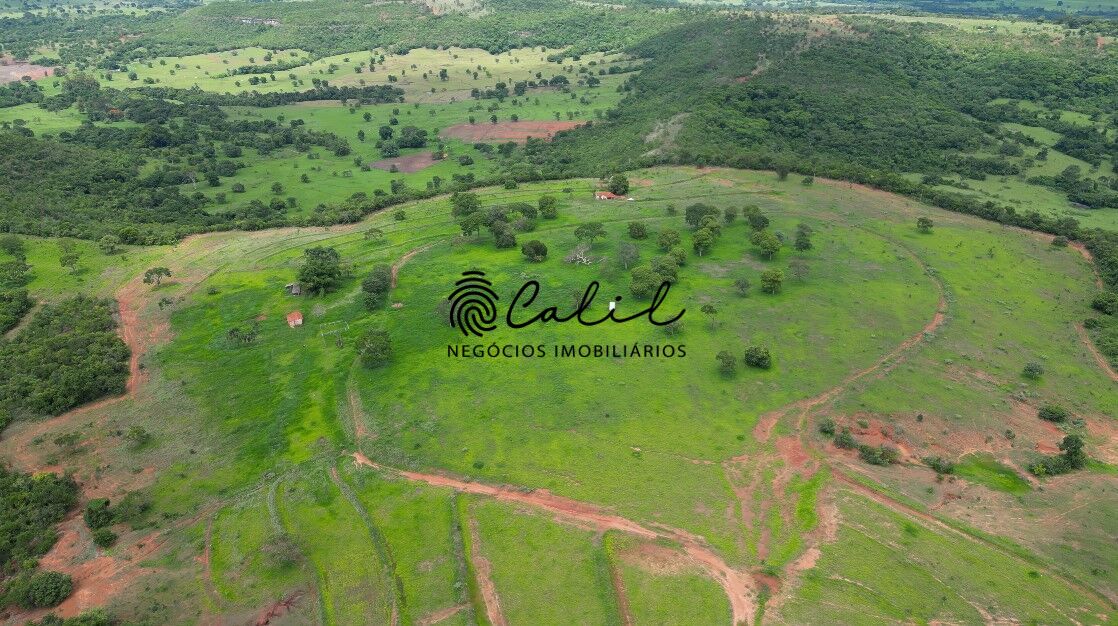 Fazenda, 92 hectares - Foto 5