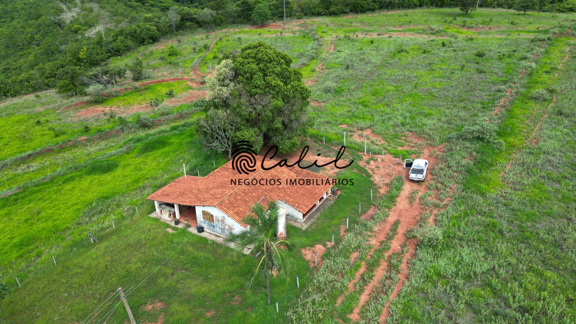 Fazenda, 92 hectares - Foto 13
