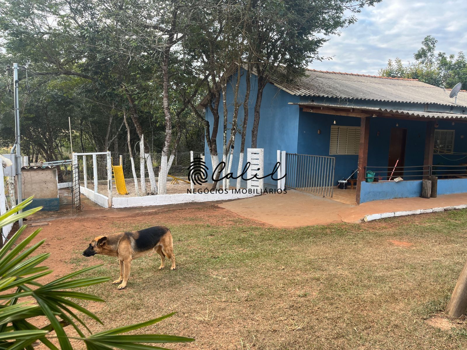 Chácara à venda com 2 quartos, 1000m² - Foto 4