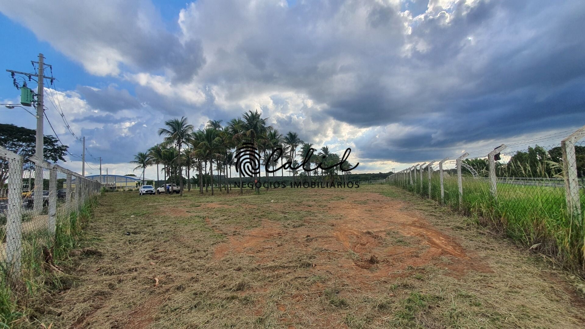 Terreno à venda, 10000m² - Foto 11