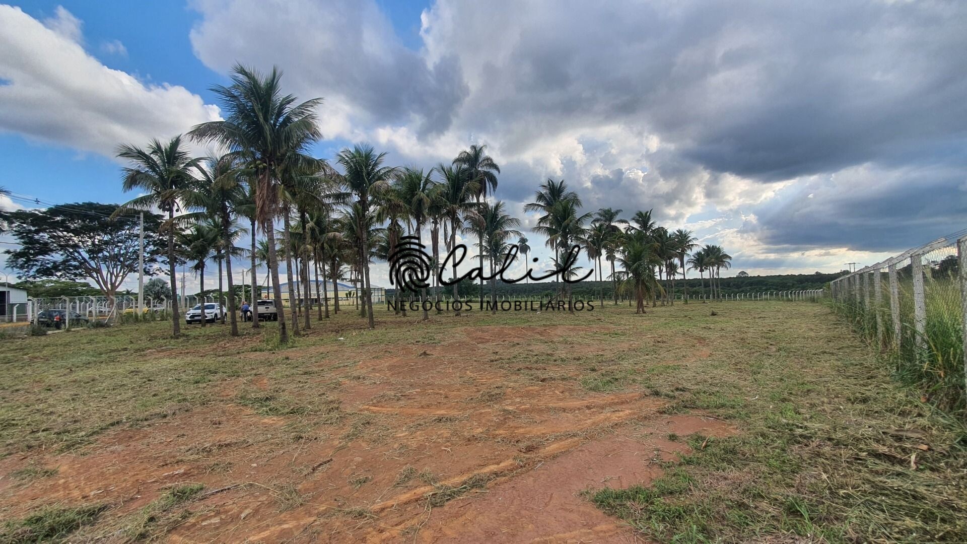 Terreno à venda, 10000m² - Foto 12