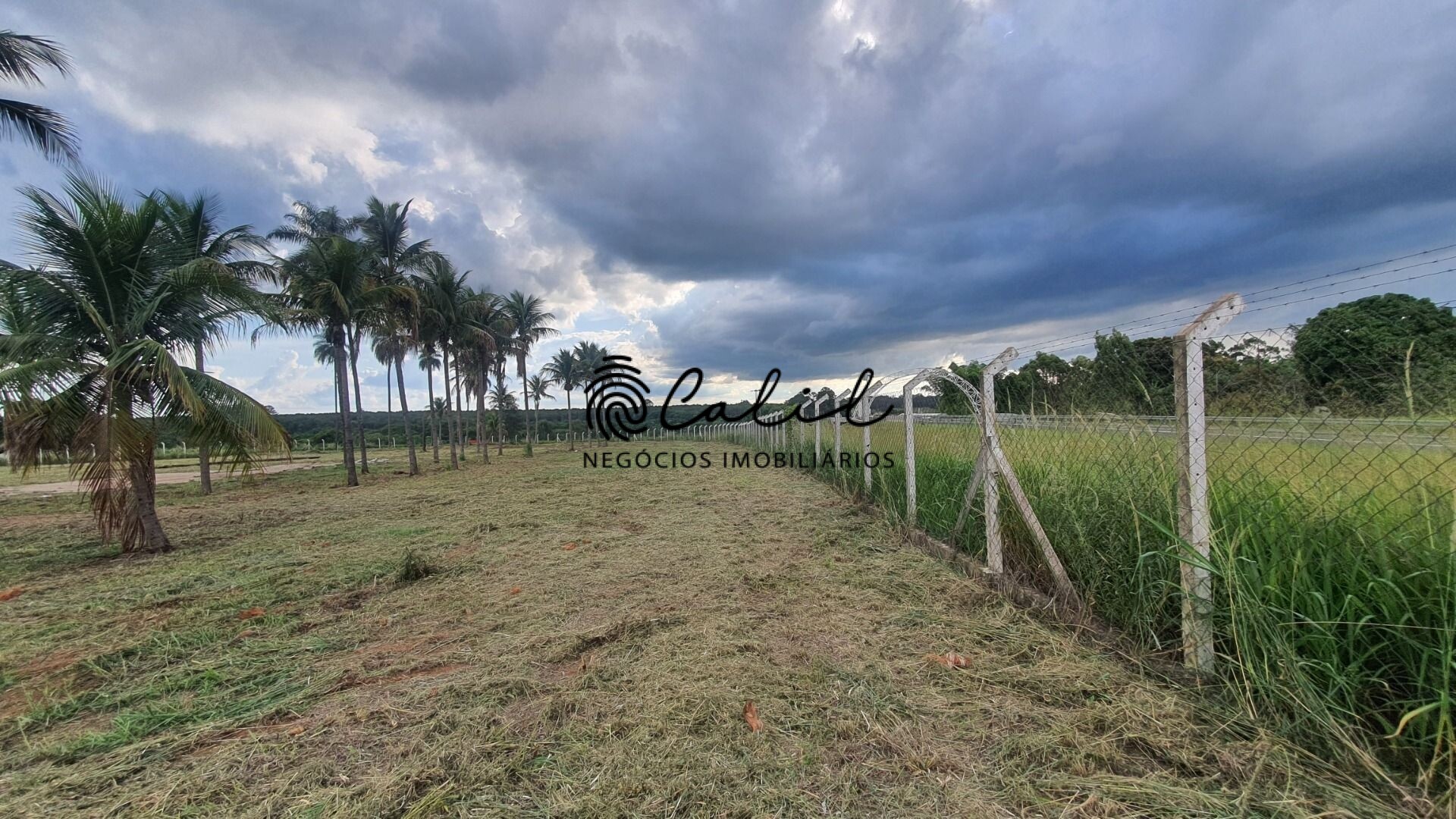 Terreno à venda, 10000m² - Foto 15