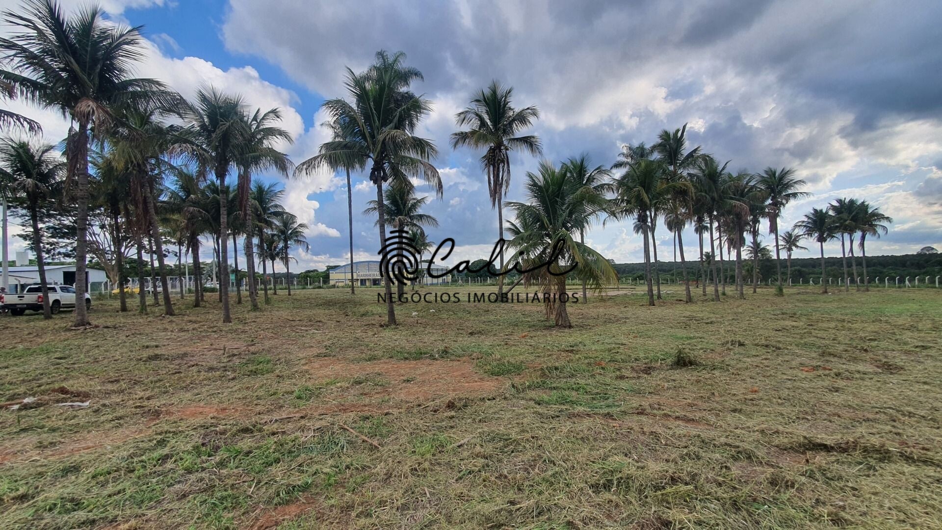 Terreno à venda, 10000m² - Foto 16