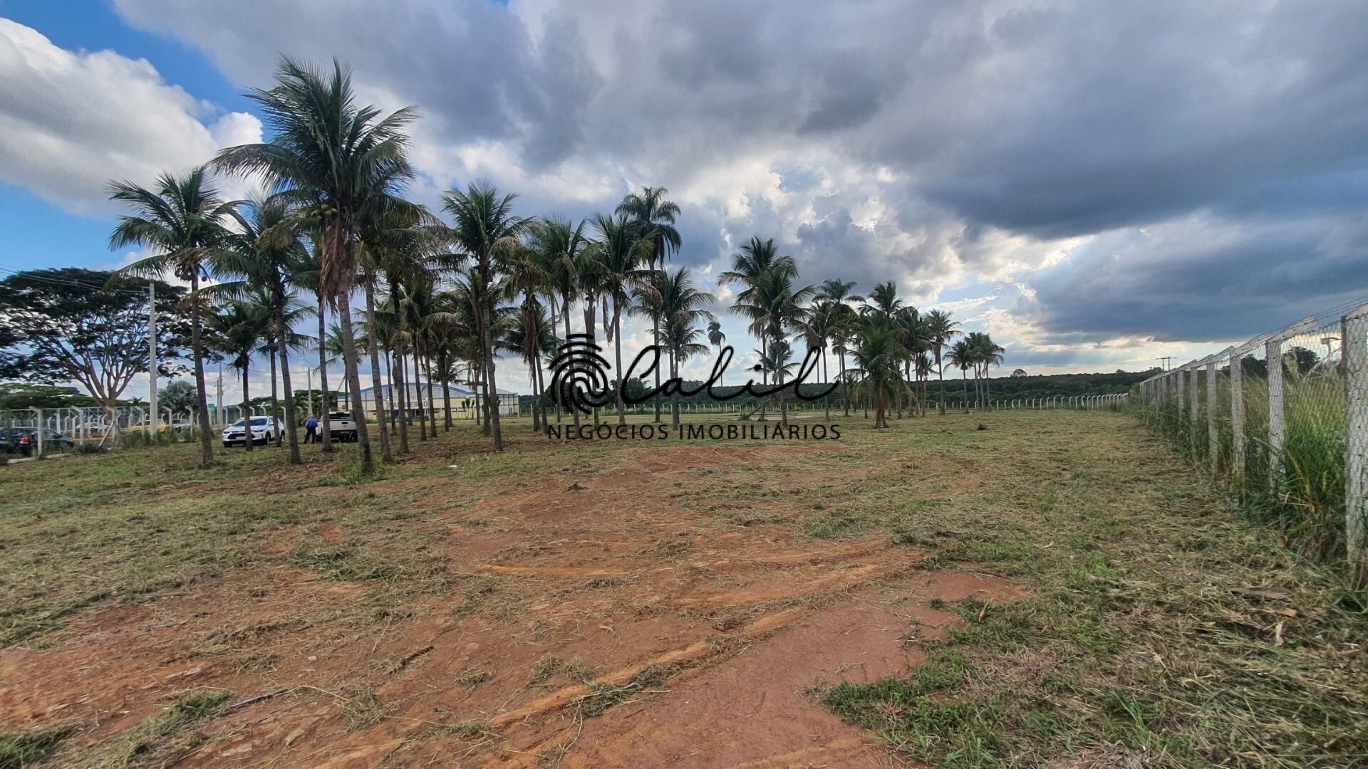 Terreno à venda, 10000m² - Foto 14