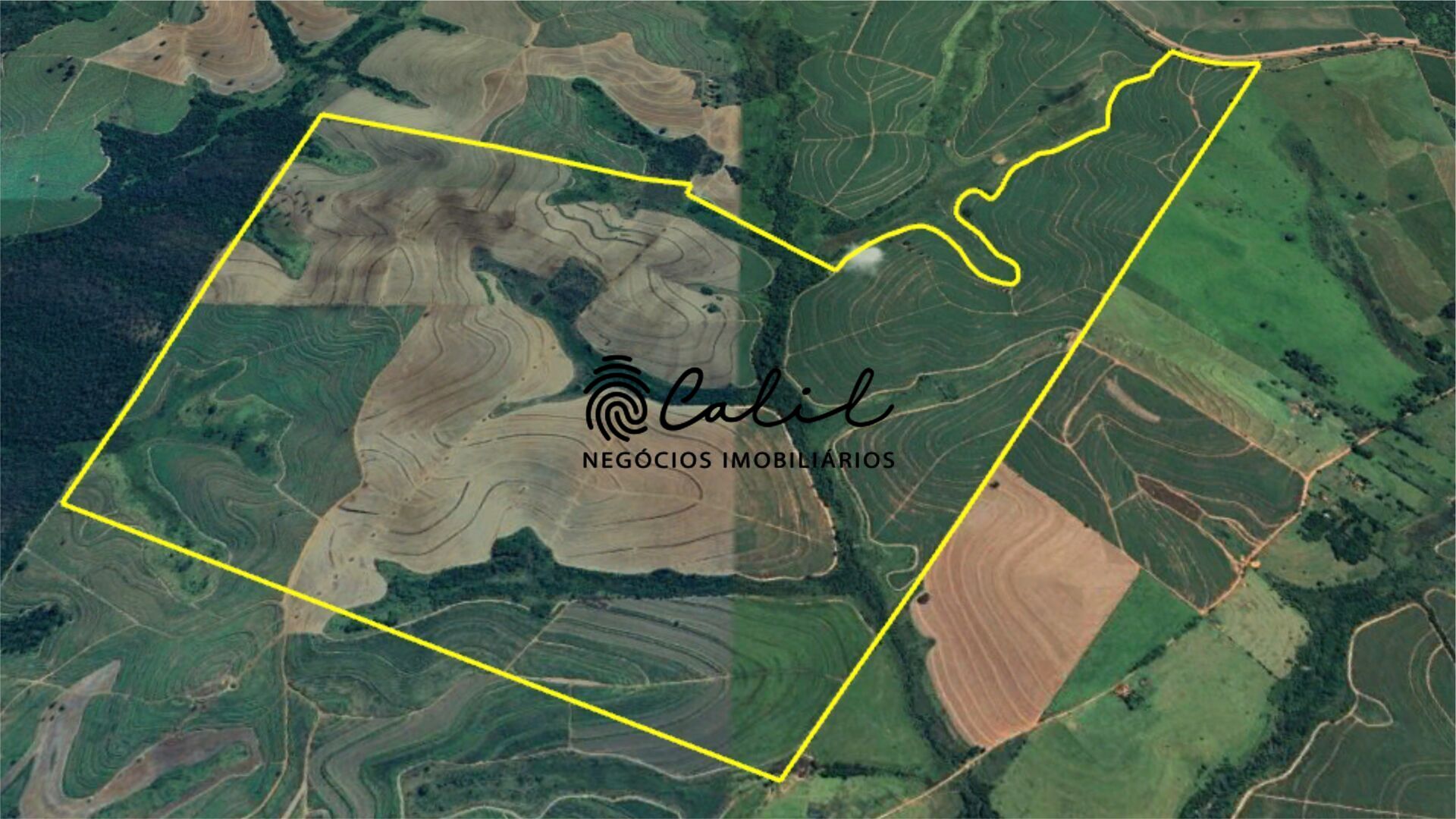 Fazenda à venda com 1 quarto, 6098400m² - Foto 10