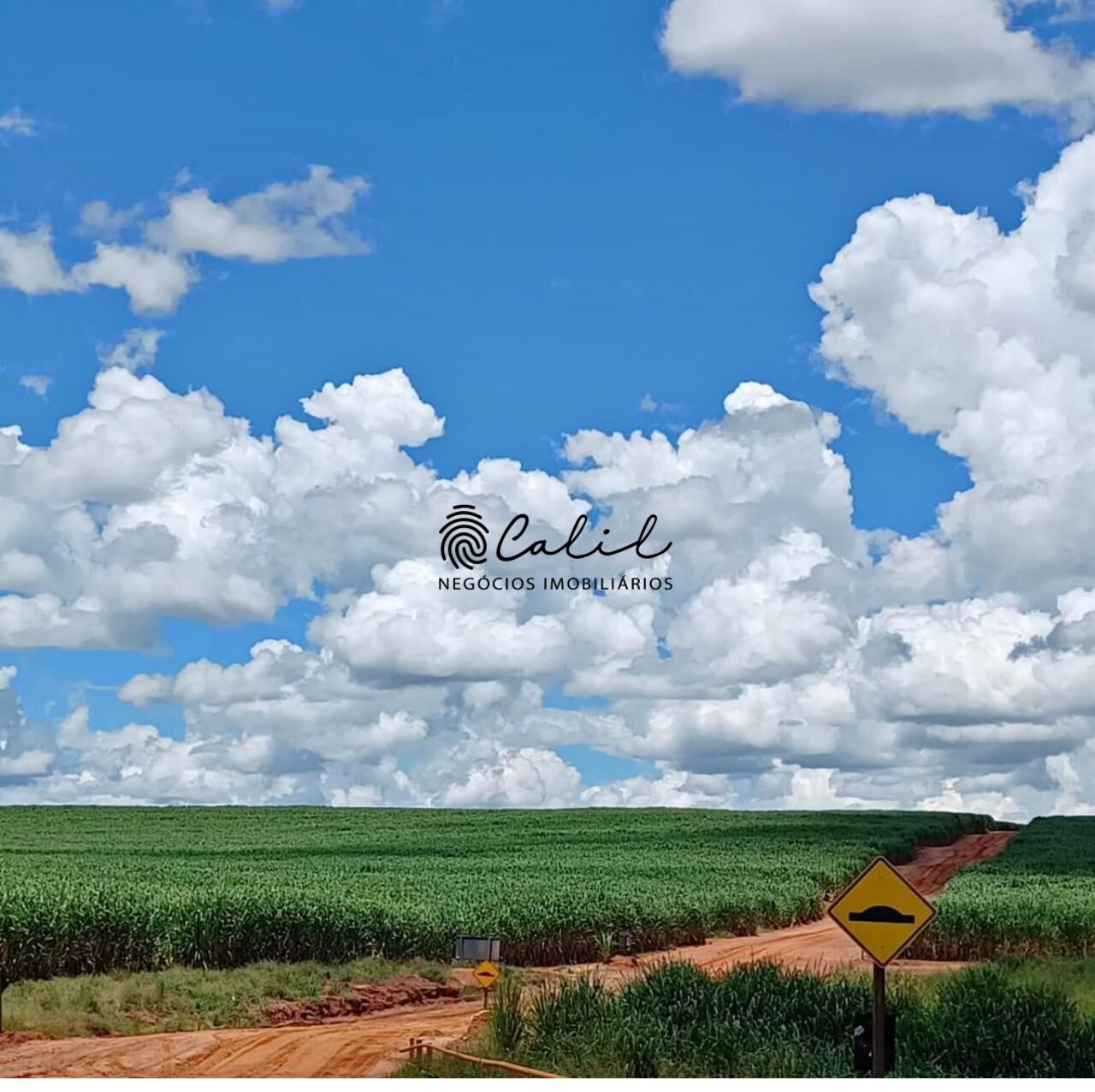 Fazenda à venda com 1 quarto, 6098400m² - Foto 7