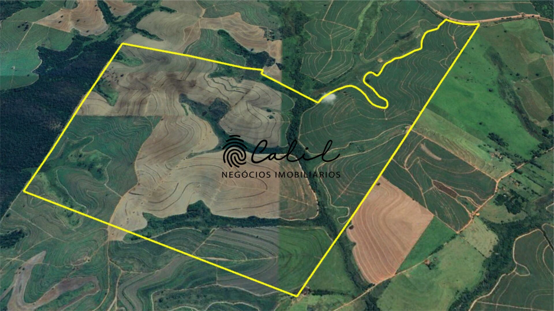 Fazenda à venda com 1 quarto, 6098400m² - Foto 1