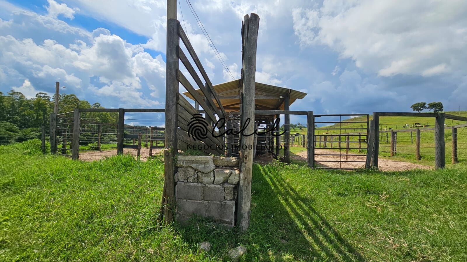 Fazenda à venda com 2 quartos, 1831500m² - Foto 8